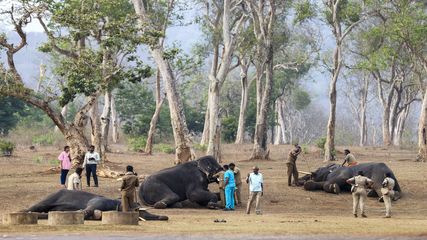 Tamil Nadu Forest Guest House Booking – Complete Guide