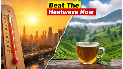 Scorching Heatwave vs. Monsoon Arrival: The Best Weekend Escapes You Need Now