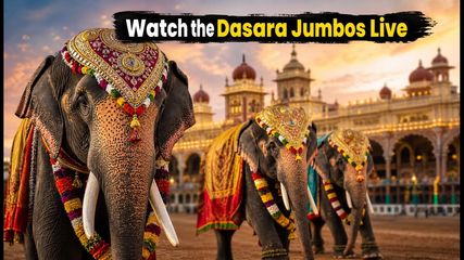 Mysuru Dasara 2026: Insider Tips for Watching Elephant Drills and Palace Illumination