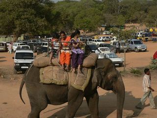 ಬನ್ನೇರುಘಟ್ಟ ರಾಷ್ಟ್ರೀಯ ಉದ್ಯಾನ : ಬೆಂಗಳೂರಿಗೆ ಒಂದು ವೈಭವ