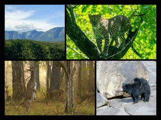 ಕರ್ನಾಟಕದ ಪ್ರಮುಖ ವನ್ಯಜೀವಿ ಧಾಮಗಳಿವು