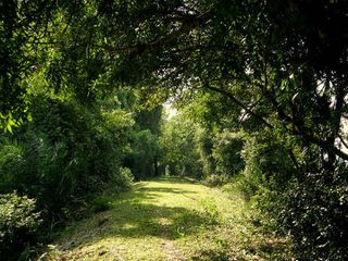 ವೇಡಂತಾಂಗಳ್ ಎಂಬ ಲವಲವಿಕೆಯ ಅಂಗಳ