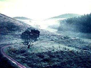 ಕೊಡೈನಿಂದ ಮುನ್ನಾರ್ 