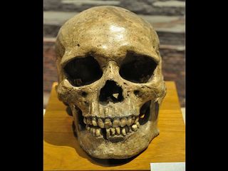 ವಿಸ್ಮಯಗೊಳಿಸುವ ಪ್ರದರ್ಶನಗಳ ಅದ್ಭುತ ಸಂಗ್ರಹಾಲಯ