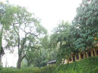 ದೇವಾಲಯ ಪಟ್ಟಣ ಎಟ್ಟುಮಾನೂರು ವಿಶೇಷ