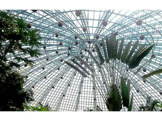 ಮಕ್ಕಳಿಗೆ ಚಿಟ್ಟೆಯ ಬಣ್ಣದ ಲೋಕ