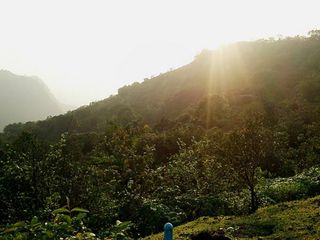 ಭೀಮನ ಗುಡ್ಡದಲ್ಲಿ ರವಿಯ ಮೋಡಿ