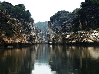 ಭಾರತದ ಸಪ್ತನದಿಗಳ ಬಗ್ಗೆ ನಿಮಗೆಷ್ಟು ಗೊತ್ತು?