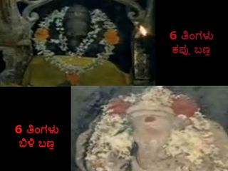 6 ತಿಂಗಳು ಬಿಳಿ ಬಣ್ಣ, ಉಳಿದ 6 ತಿಂಗಳು ಕಪ್ಪು ಬಣ್ಣವಾಗಿ ಪರಿರ್ವತನೆಗೊಳ್ಳುವ ವಿಸ್ಮಯ ಗಣಪತಿ