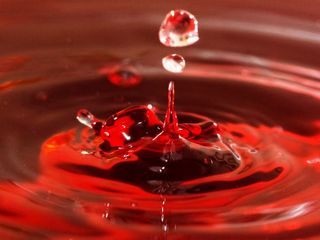 ರಕ್ತದ ಮಳೆ ಸುರಿಯುವುದಾದರೂ ಎಲ್ಲಿ?