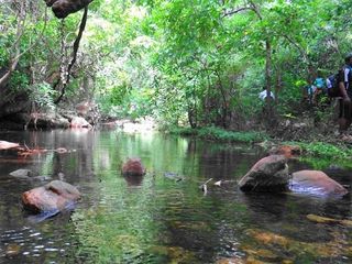 ಚೆನ್ನೈಗೆ ಸಮೀಪದಲ್ಲಿರುವ ಏಳು ಜನಪ್ರಿಯವಾದ ಚಾರಣ ಹಾದಿಗಳು
