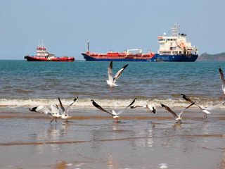 ಕಾರವಾರದ ಐದು ಶೋಭಾಯಮಾನವಾದ ಕಡಲಕಿನಾರೆಗಳು
