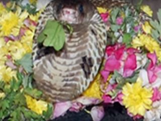 ಭಾರತ ದೇಶದಲ್ಲಿನ 12 ರಹಸ್ಯವಾದ ದೇವಾಲಯಗಳು