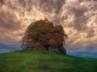 ಬೆಂಗಳೂರಿನ ಸಮೀಪ ಇರುವ ಈ ತಾಜಾ ಕ್ಯಾಂಪಿಂಗ್ ತಾಣಗಳನ್ನು ಅನ್ವೇಷಿಸಿ