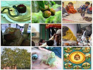 ದೇವರು ಕೂಡಾ ಈ ರಹಸ್ಯವನ್ನು ಭೇದಿಸಲಾರರೇನೋ !