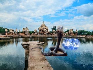 ಇಲ್ಲಿದೆ ಬೆಲೆ ಬಾಳುವ ನಾಗಮಣಿ; ಏನಿದರ ರಹಸ್ಯ