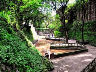 ರೋಹರುಗೆ ಒಂದು ಮೀನುಗಾರಿಕಾ ಪ್ರವಾಸ ಕೈಗೊಳ್ಳಿ