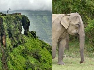 ಆನೆಯ ತಲೆಯನ್ನೇ ಹೋಲುವ ಈ ಬೆಟ್ಟವನ್ನು ನೋಡಿದ್ದೀರಾ?