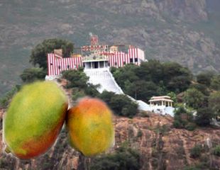 ನಿಮ್ಮ ಆಸೆ ಈಡೇರಬೇಕಾದರೆ ಇಲ್ಲಿ ಒಂದು ಮಾವಿನಹಣ್ಣನ್ನು ಅರ್ಪಿಸಬೇಕಂತೆ!