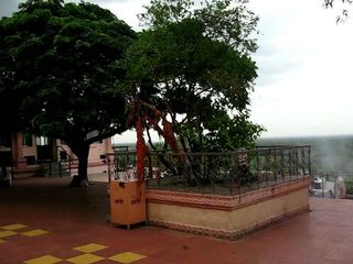 ಸಮಾಧಿ ಮೇಲಿರುವ ಈ ದಾಳಿಂಬೆ ಗಿಡಕ್ಕೆ ದಾರ ಕಟ್ಟಿದ್ರೆ ಇಷ್ಟಾರ್ಥ ಸಿದ್ಧಿಸುತ್ತಂತೆ