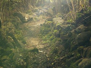 ಚಾರಣಿಗರ ಸ್ವರ್ಗ ಅಪ್ಸರ ವಿಹಾರ್; ‘ಅಪ್ಸರ’ ಹೆಸರು ಬರಲು ಕಾರಣವೇನು ಗೊತ್ತಾ?