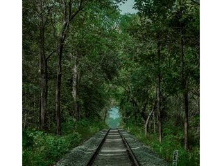 ಪದ್ಮನಾಭಸ್ವಾಮಿ ದೇವಾಲಯ ಮತ್ತು ಮುಚ್ಚಿರುವ ಆ ಬಾಗಿಲಿನ ರಹಸ್ಯ    