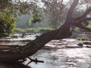 ಕೂರ್ಗ್ ಆಸುಪಾಸಿನಲ್ಲಿರುವ ಈ ಅಭಯಾರಣ್ಯಗಳಲ್ಲಿ ಎಂತೆಂಥಾ ಪ್ರಾಣಿ ಪಕ್ಷಿಗಳಿವೆ ಗೊತ್ತಾ..!