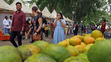 ಬೆಂಗಳೂರಿನ ಲಾಲ್‌ಬಾಗ್ ಮಾವು ಉತ್ಸವ 2024: ಹಣ್ಣು ಪ್ರಿಯರು ಕಡ್ಡಾಯವಾಗಿ ಭೇಟಿ ನೀಡಲೇಬೇಕು
