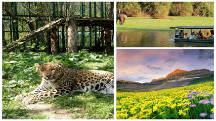 ಈ ರಾಷ್ಟ್ರೀಯ ಉದ್ಯಾನವನಗಳನ್ನು ಮಳೆಗಾಲದಲ್ಲಿ ನೋಡುವುದೇ ಚೆಂದ…