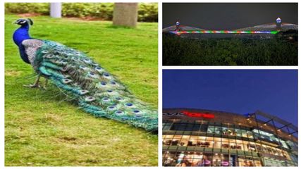 ಹೈದರಾಬಾದ್‌ನಲ್ಲಿರುವ ಈ ಸ್ಥಳ ಎಲ್ಲರನ್ನೂ ಆಕರ್ಷಿಸುತ್ತದೆ, ವೀಕೆಂಡ್ ಎಂಜಾಯ್ ಮಾಡಲು ಈ ಪ್ಲೇಸ್‌ಗೆ ಪ್ಲಾನ್ ಮಾಡಿ