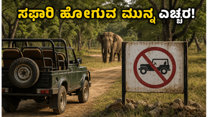 ಬಂಡೀಪುರ, ನಾಗರಹೊಳೆ ಸಫಾರಿ ಪ್ಲಾನ್ ಮಾಡ್ತಿದ್ದೀರಾ? ಈ ಹೊಸ ನಿಯಮ ಮಿಸ್ ಮಾಡ್ಬೇಡಿ!