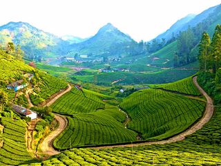 தேனி - பசுமையில் போர்த்தப்பட்ட நிலப்பரப்பு!!!