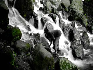 இந்தியாவின் மிகச் சிறந்த மழைக்கால சுற்றுலாத் தலங்கள்!!!