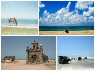 தனுஷ்கோடி: புயலால் சிதைந்த நகரம்