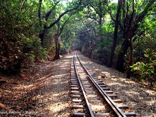மகாராஷ்டிராவில் மலையேற்றம் செய்ய சிறந்த ஐந்து இடங்கள்