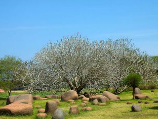 ஏன் இத்தனை சத்தம் நம்மைச் சுற்றி ? அமைதியைத் தேடி ஒரு பயணம்!