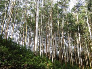 இந்திய சினிமாக்களில் அடிக்கடி வரும் இந்த இடங்கள் எவை தெரியுமா?