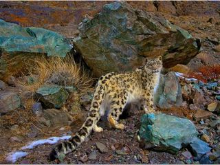 நீங்க டிஸ்கவரி சேனல்ல பாக்கரத நேர்ல பாக்க ஆசையா? அப்பறம் என்ன போலாம் வாங்க