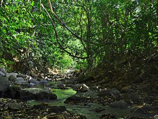 கடவுளின் தேசத்திலுள்ள தோனி மலைக்கு விசிட் பண்ணியிருக்கீங்களா? இல்லைன்னா பண்ணிடுங்க!!