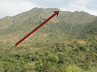 கஞ்சமலை கரடி சித்தர் சொல்லும் சாகாவரம்தரும் மூலிகை தெரியுமா?