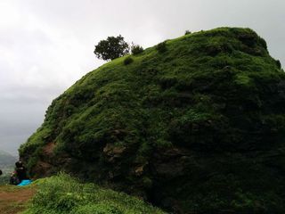 மகாராஷ்டிராவின் மாத்தேரான் பகுதியில் உள்ள ஒன் ட்ரீ ஹில் நோக்கி ஒரு ரயில் பயணம்!!