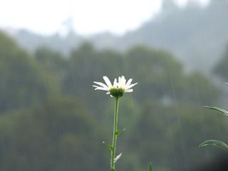 மழை பெய்யும்போது இந்த இடங்கள் எப்படி இருக்கும்னு பாத்துருக்கீங்களா?