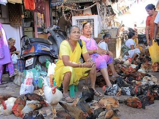 கோவாவின் கைவினை நகரத்துக்கு ஒரு சிறப்பு சுற்றுலா செல்வோம்!