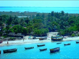 இந்திய கடலின் நடுவே 105 வருடங்களாக நிகழும் ஒரு அட்டகாச சாகச ரயில் பயணம்! போலாமா?
