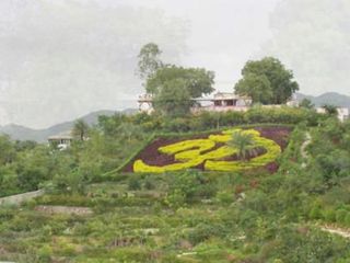 உங்க ராசிக்குரிய செடியை வாங்கினா ஓவர் நைட்டில் கோடிஸ்வரர் ஆகலாமா?