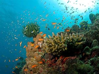 உங்க உடன் பிறந்தவங்களோடு ஜாலியா விசிட் பண்ணனும்னா எங்கே போலாம்?