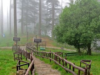 டேராடூன் பயணத்தின்போது செல்லக்கூடிய மற்ற இடங்கள் எவை தெரியுமா?