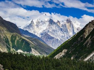 உத்தரகண்ட்டின் ஹர்சில் காட்டுக்குள்ள ஒரு ரவுண்ட் போலாமா?