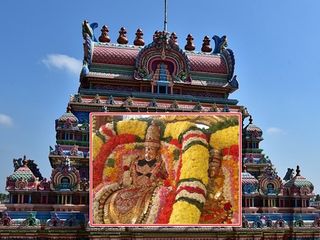 மீண்டும் வந்த கிளி... கண்ணீர் வடித்த அம்மன்... எங்கே தெரியுமா ?