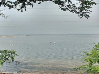 பறவைகளை காண பழவேற்காடு வாருங்கள்